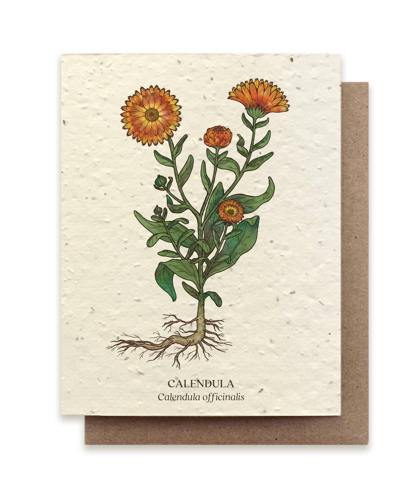 Calendula | Plantable Wildflower Card - Bluecorn Candles