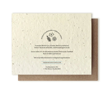 Bowhead Whale | Plantable Wildflower Seed Card - Bluecorn Candles