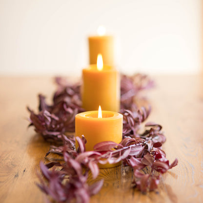 Beeswax Botanica Spring Pillar Trio - Candles Scented with Essential Oils