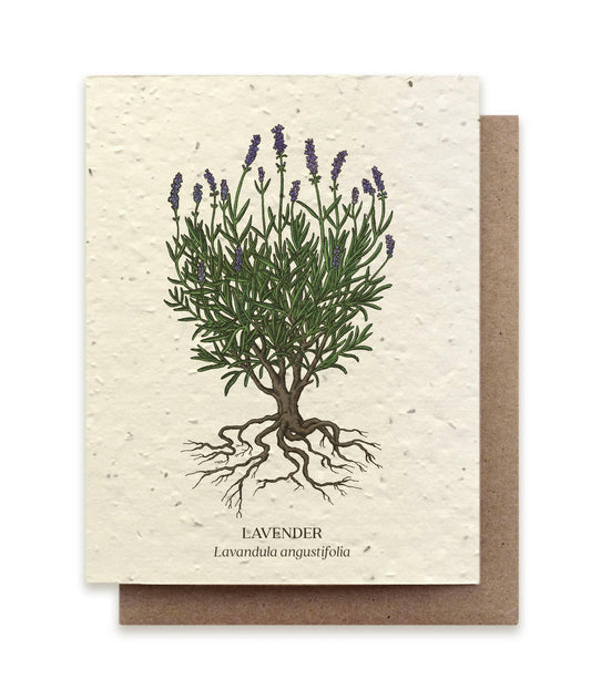 Lavender | Plantable Wildflower Card - Bluecorn Candles