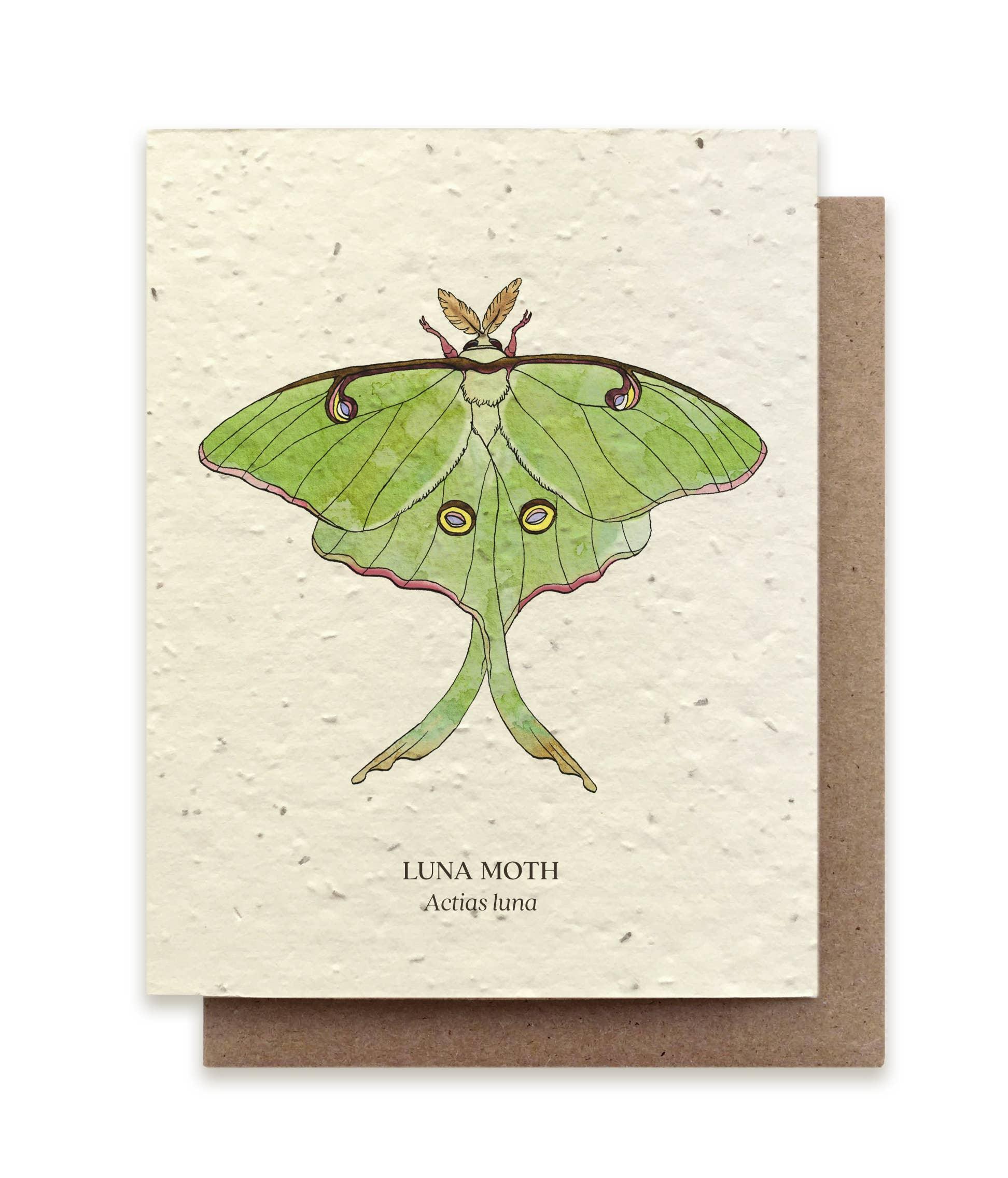 Luna Moth | Plantable Wildflower Card - Bluecorn Candles