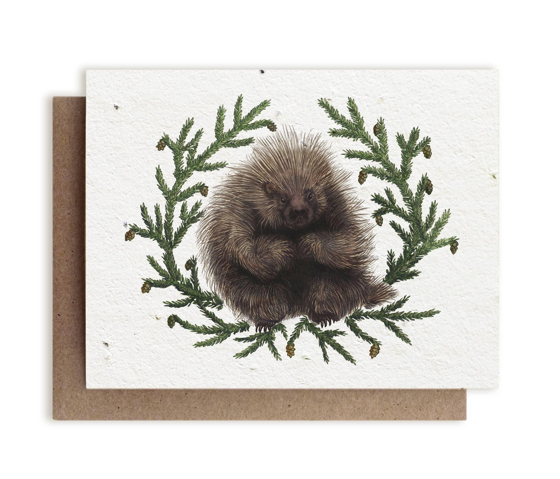 North American Porcupine & Hemlock | Plantable Herb Seed Card - Bluecorn Candles