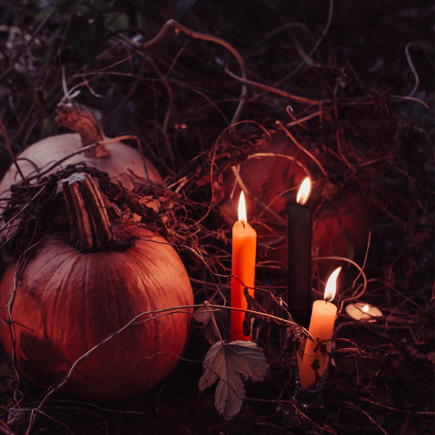 Spooky Season Beeswax Taper Candle Bundle - Apricot & Black - Bluecorn Candles