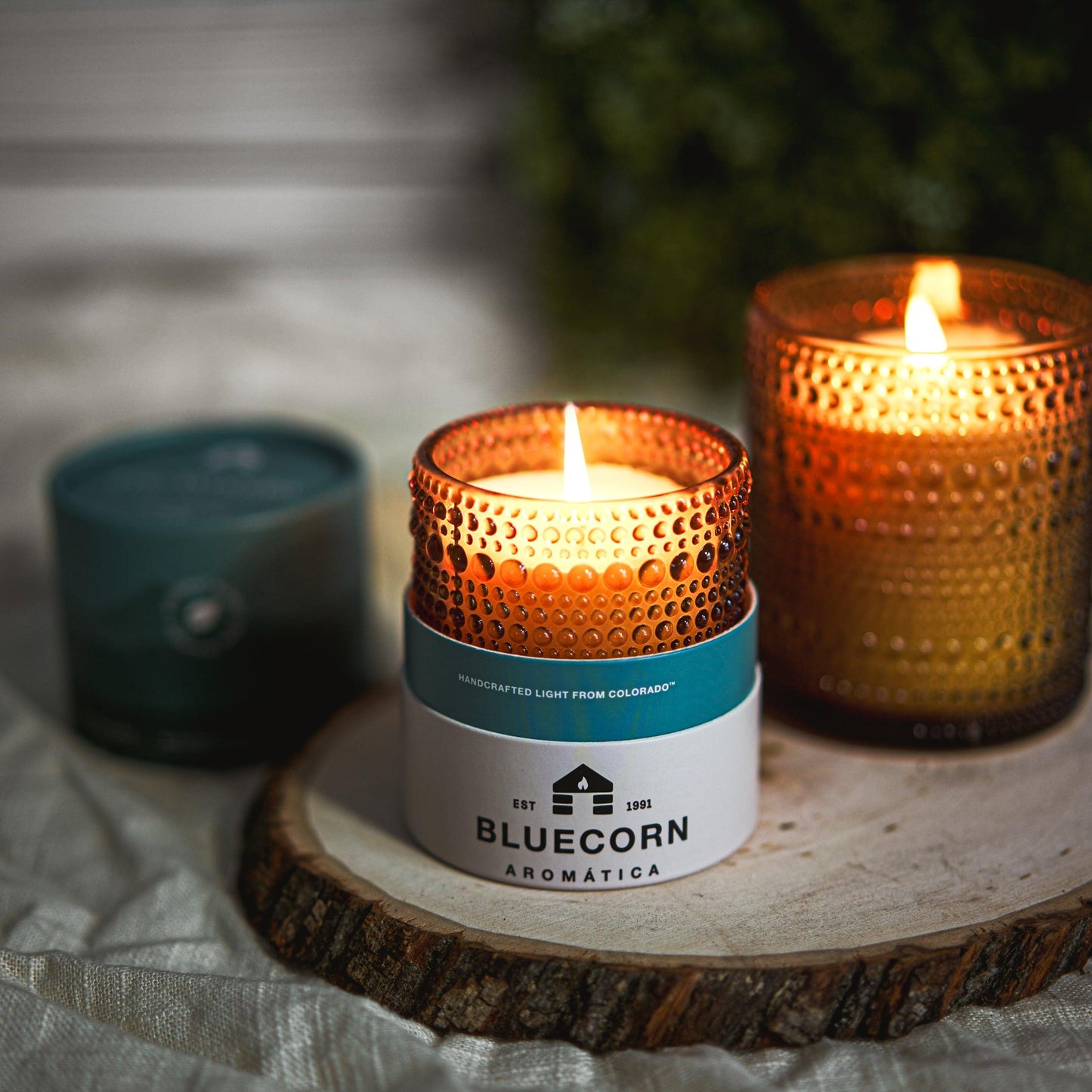 The Woodsy - Scented Coconut Wax Candle - Bluecorn Candles